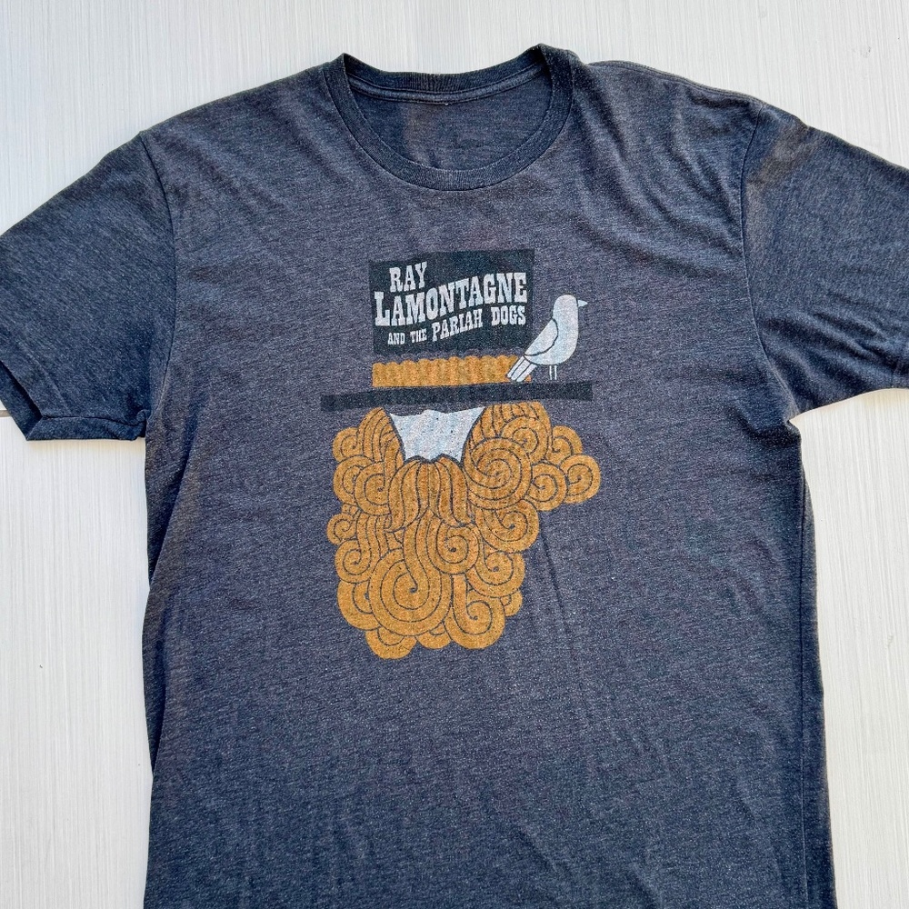 10yr anniversary Ray Lamontagne band shirt